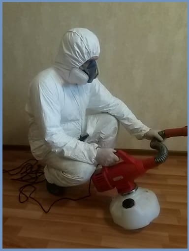 pest control insects Kolomna