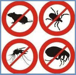 уничтожение клопов тараканов и блох в Киржаче