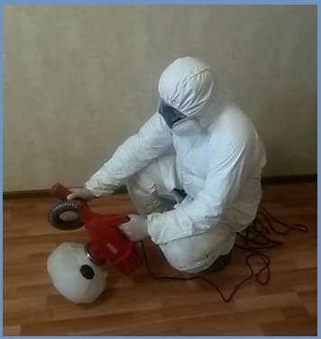 pest control insects Vysokovsk