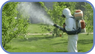 unichtojenie komarov v solnechnogorske
